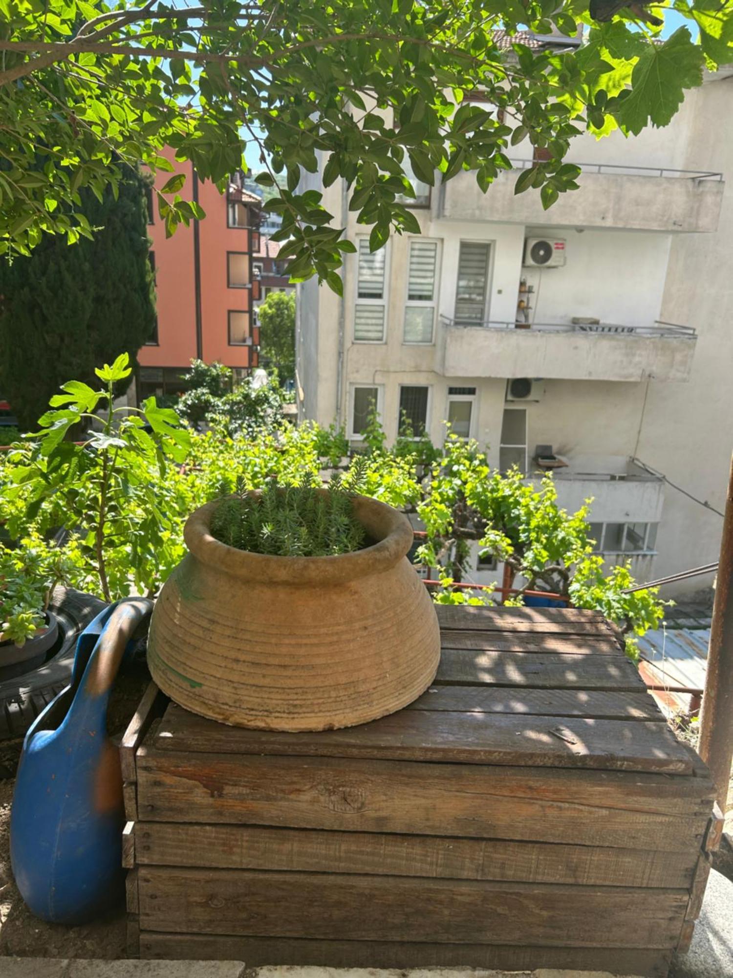 Didi House Apartman Szandanszki Kültér fotó