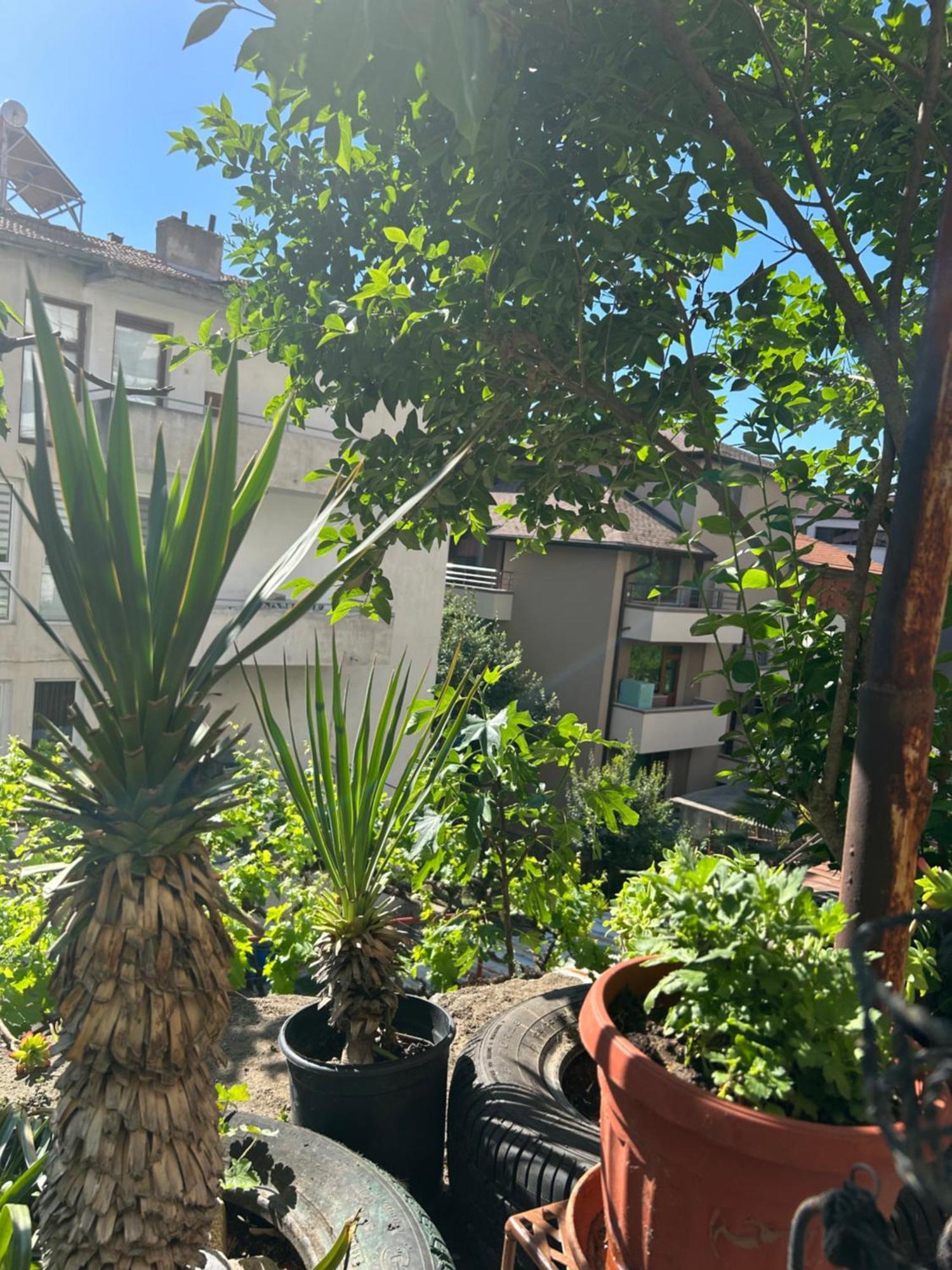 Didi House Apartman Szandanszki Kültér fotó
